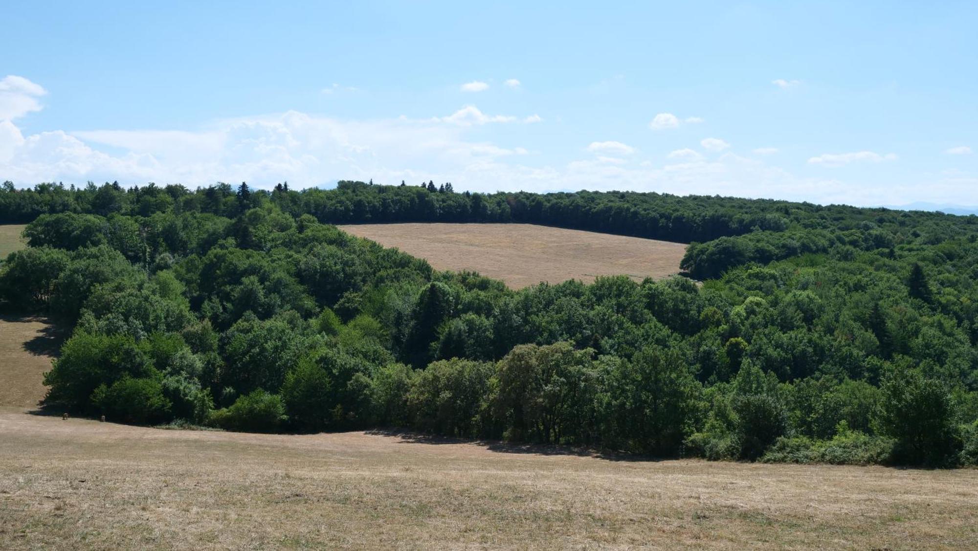 Maison Avec Vue Sur Le Lac De Montbel エクステリア 写真